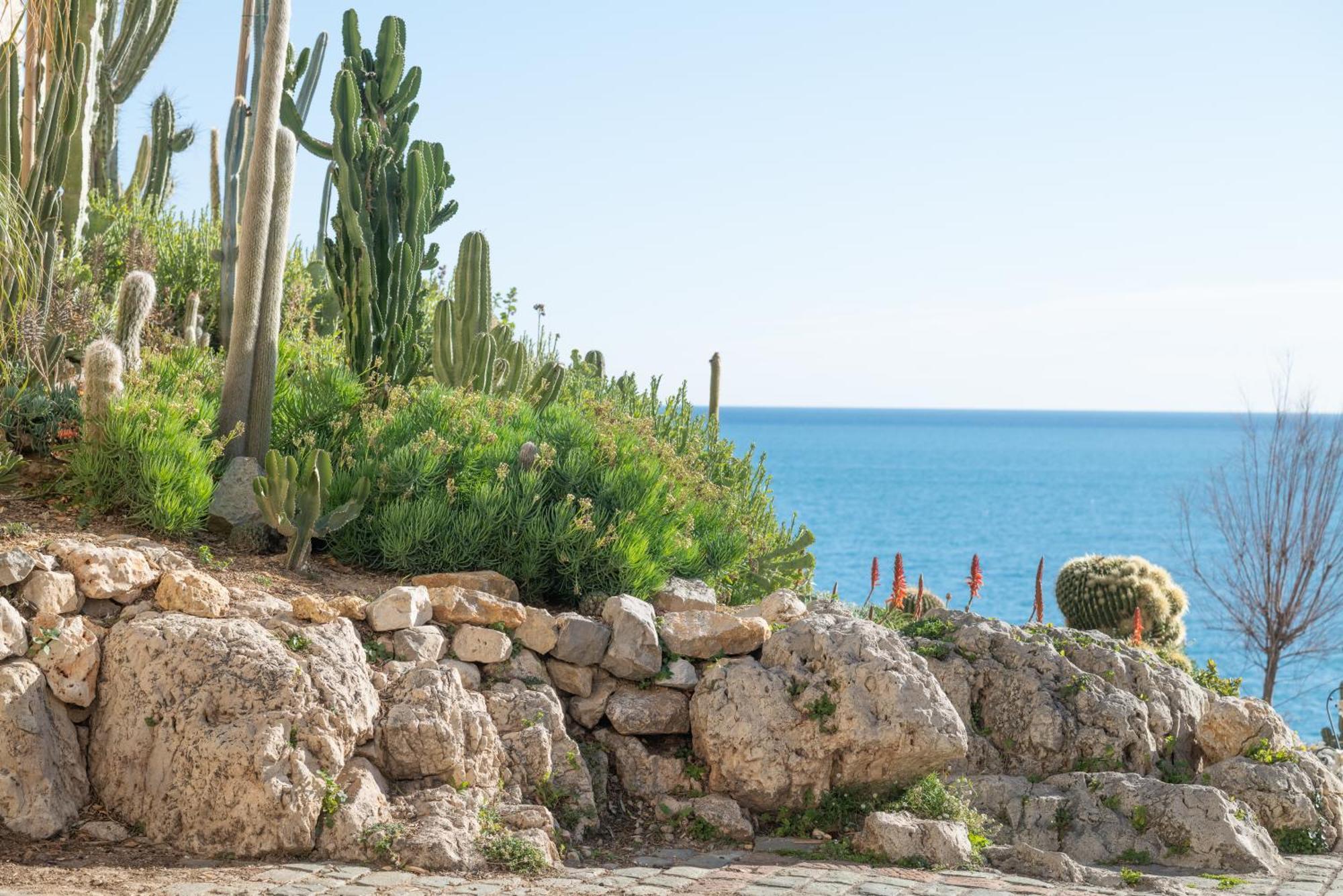 Appartamento La Pablita, Vieil Antibes, Remparts Esterno foto